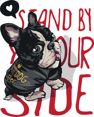 Hình ảnh minh họa chú chó Bulldog Pháp dễ thương đội mũ, mặc áo có chữ "Best Dog Ever" và biểu tượng vương miện, phía sau có chữ "STAND BY YOUR SIDE".