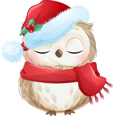 Hình ảnh minh họa một chú cú tuyết trắng muốt, mắt nhắm, đội mũ ông già Noel đỏ có viền trắng và quả bông xanh, quàng chiếc khăn đỏ ấm áp.