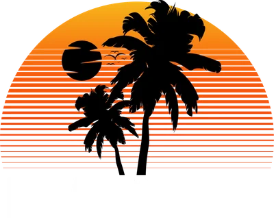 Hình ảnh hoàng hôn nhiệt đới với cây dừa, đàn chim bay và dòng chữ Hawaii.