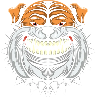 Hình minh họa vector đầu chó Bulldog hung dữ với vòng cổ đinh tán phong cách mạnh mẽ