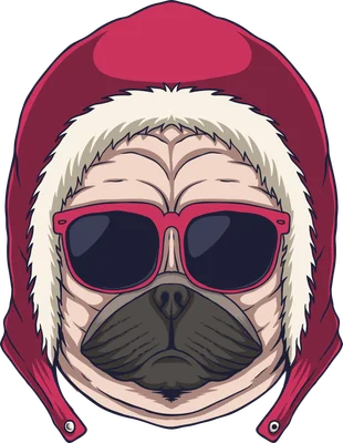 Chó pug đeo kính râm đội mũ len đỏ phong cách cool ngầu