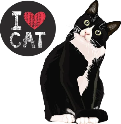 Hình minh họa mèo đen trắng ngồi với biểu tượng "I Love Cat" bên cạnh
