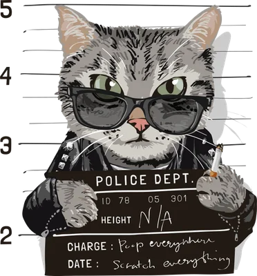 Mèo rock ngầu đeo kính đen cầm bảng mugshot hài hước