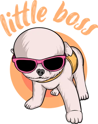 Hình minh họa chú chó trắng nhỏ đeo kính râm hồng, có chữ 'little boss' màu cam trên nền xám và vòng tròn cam.