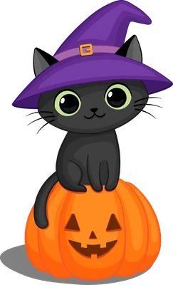 Hình ảnh hoạt hình mèo đen đội mũ phù thủy màu tím, ngồi trên quả bí ngô Halloween có khắc mặt cười.