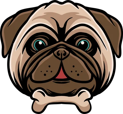 Mặt chó Pug hoạt hình đáng yêu ngộ nghĩnh cùng xương