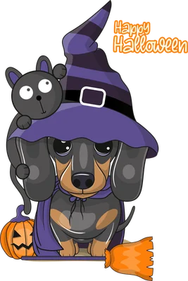 Hình ảnh minh họa chó Dachshund đội mũ phù thủy, bên cạnh là mèo đen, bí ngô Halloween và chổi.