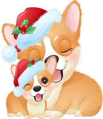 Hình ảnh hai chú chó Corgi mẹ và con đội mũ ông già Noel, ôm nhau tình cảm.