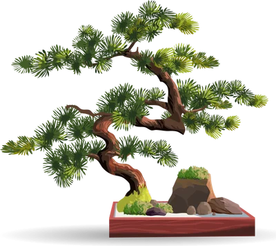 Hình ảnh cây tùng la hán bonsai với thân cây uốn lượn, tán lá xanh tươi và đá nhỏ trên nền xám.