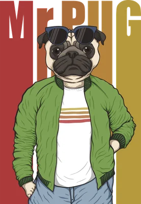 Hình in chú chó Pug cool ngầu đeo kính râm áo khoác xanh lá