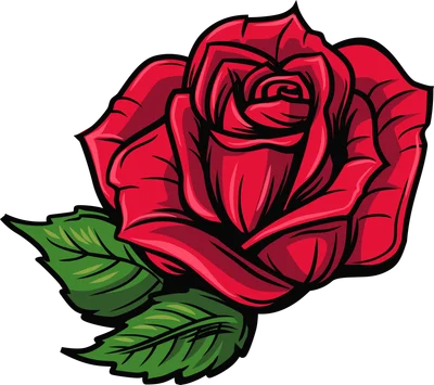 Hình ảnh hoa hồng đỏ rực rỡ với lá xanh, viền đen đậm, phong cách tattoo cổ điển.