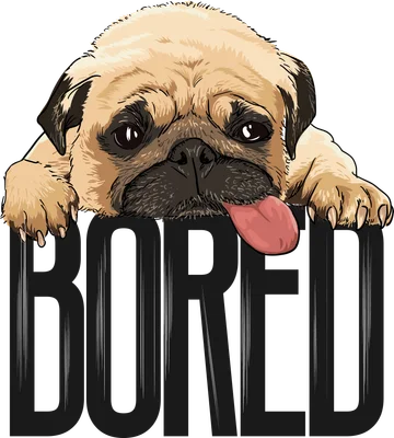 Hình minh họa chú chó Pug màu nâu vàng nằm úp mặt, lè lưỡi, với chữ BORED màu đen bên dưới trên nền xám.
