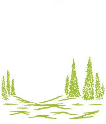 Hình vẽ phong cảnh núi rừng ban đêm với trăng tròn, sao lấp lánh, cây thông và dòng chữ 'MOUNTAIN Wanderer'.