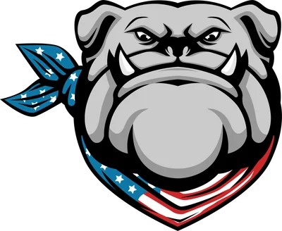 Hình ảnh minh họa chó Bulldog với vẻ mặt ngầu, đeo khăn rằn có họa tiết cờ Mỹ.