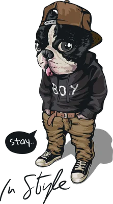 Hình minh họa chó Bulldog mặc áo hoodie, đội mũ lưỡi trai phong cách hiphop cá tính