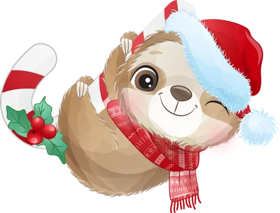 Hình minh họa một chú lười con dễ thương đội mũ ông già Noel, quàng khăn đỏ, và cầm gậy kẹo que Giáng Sinh.