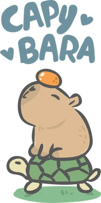 Hình vẽ hoạt hình capybara màu nâu dễ thương ngồi trên lưng rùa xanh, đội một quả cam nhỏ trên đầu, với chữ 'CAPY BARA' màu xanh nhạt.