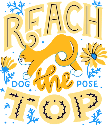 Hình minh họa chú mèo vàng đang vươn mình tập yoga, với chữ "REACH THE TOP" và "DOG THE POSE"