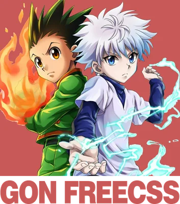 Hai nhân vật anime Gon và Killua từ Hunter x Hunter, Gon có lửa bao quanh, Killua có sét bao quanh.