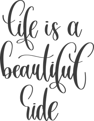 Dòng chữ "Life is a beautiful ride" viết tay kiểu calligraphy màu xám trên nền xám.