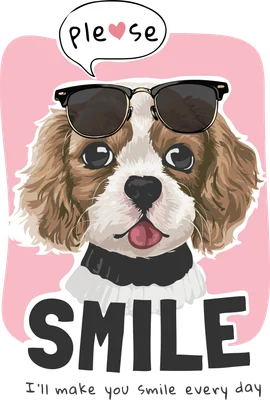 Hình minh họa chú chó Cavalier King Charles Spaniel nâu trắng đeo kính râm, lưỡi thè, với chữ 'please' và 'SMILE' lớn. Nền hồng xám.