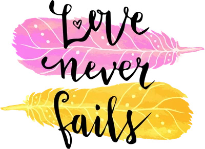 Hình minh họa hai chiếc lông vũ màu hồng và vàng với dòng chữ nghệ thuật Love never fails