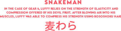 Hình ảnh chữ SNAKEMAN, mô tả Gear 4 của Luffy và Bososhoku Haki, cùng chữ Nhật 麦わら.