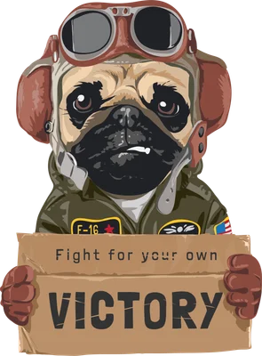 Chú chó Pug phi công đội mũ và kính bảo hộ, mặc áo khoác quân đội, cầm bảng carton ghi 'Fight for your own VICTORY'.