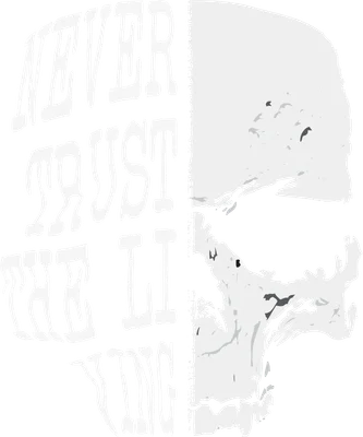 Hình ảnh đầu lâu trắng với dòng chữ "Never Trust The Lying" trên nền xám