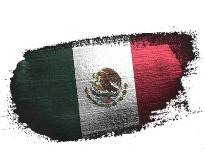 Hình ảnh cờ Mexico với nét vẽ phong cách bụi bặm, có chữ MEXICO phía trên.