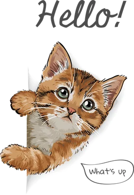Hình ảnh mèo con màu vàng cam với đôi mắt xanh lá cây đang nhìn ra từ một góc, có chữ "Hello!" và "What's up"