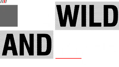 Hình ảnh slogan "Be Wild And Free" với phông chữ lớn, màu trắng và đen, trên nền xám, có dòng chữ "Urban Style" nhỏ bên dưới.