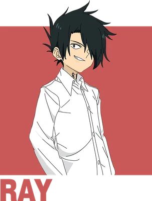 Hình vẽ nhân vật Ray từ anime The Promised Neverland, mặc áo sơ mi trắng, có số 81 trên cổ áo.