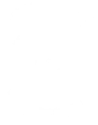 Hình ảnh đĩa than màu trắng với dòng chữ "Don't Stop The Music" bao quanh, trên nền xám.