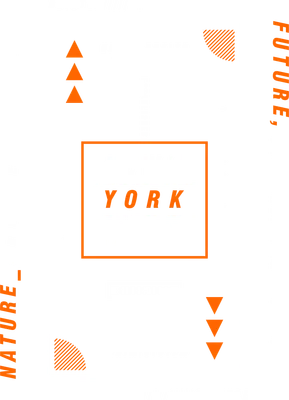 Thiết kế đồ họa chữ New York City với các yếu tố urban, màu cam và xám.