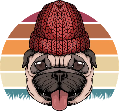 Hình ảnh minh họa chó Pug đội mũ len đỏ, với nền sọc ngang màu retro.