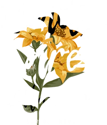 Hình in chữ trắng 'Limits are Illusion' và 'NEVER SAY NEVER' trên nền hoa vàng, lá xanh và nền xám.