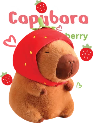 Hình ảnh capybara hoạt hình dễ thương đội mũ dâu tây màu đỏ, với chữ 'Capybara' và 'strawberry' cùng các hình dâu nhỏ.