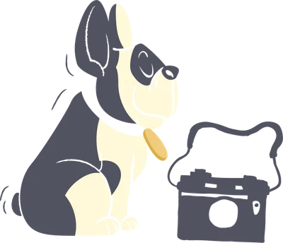 Hình vẽ hoạt hình chú chó French Bulldog màu đen trắng ngồi cạnh máy ảnh cổ điển.