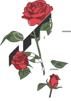 Hình ảnh hoa hồng đỏ kết hợp chữ Summer và dòng chữ "Love Forever" trên nền xám.