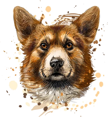 Hình vẽ chân dung cận mặt một chú chó Corgi lông vàng nâu, với đôi tai vểnh và ánh mắt biểu cảm, xung quanh có các vệt màu nước loang lổ.