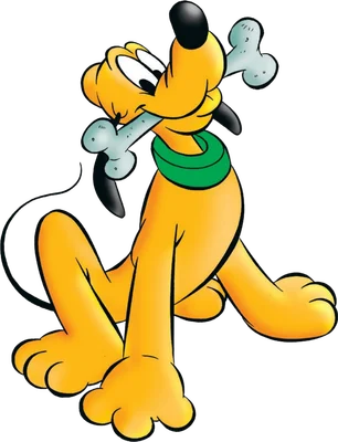 Hình ảnh chú chó Pluto màu vàng của Disney đang ngậm một khúc xương lớn, với chiếc vòng cổ màu xanh lá cây, trên nền xám.