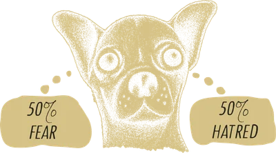 Động vật