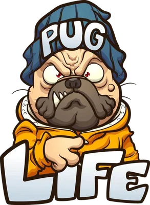 Hình minh họa chó Pug đội mũ len xanh, mặc áo hoodie vàng, biểu cảm ngầu, có chữ PUG LIFE.