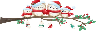 Bức tranh gia đình cú nhỏ mặc mũ ông già Noel và khăn quàng đỏ, ngồi trên cành cây với những chiếc tất Giáng Sinh treo lủng lẳng.