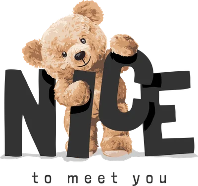 Hình minh họa gấu bông màu nâu dễ thương đang ôm chữ NICE màu xám đậm, bên dưới có dòng chữ 'to meet you' trên nền xám.