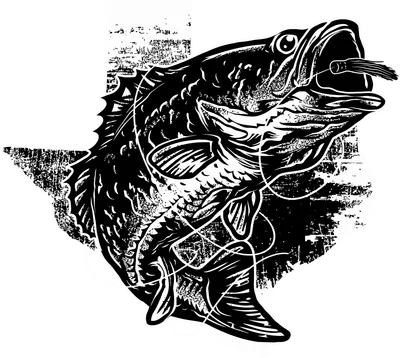 Hình minh họa cá vược nhảy trên nền bản đồ bang Texas phong cách đồ họa đen trắng