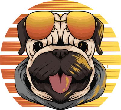 Hình minh họa chó Pug đeo kính râm màu cam và đội mũ hoodie, với nền sọc cam vàng.