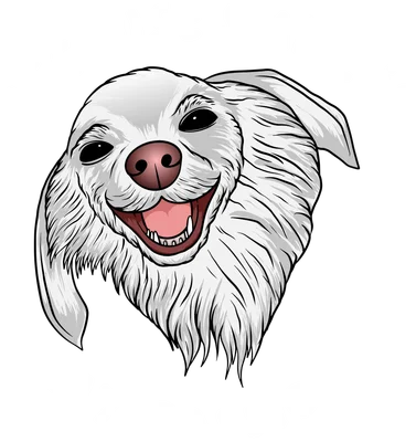 Hình minh họa đầu chó trắng mỉm cười rạng rỡ với dòng chữ 'Because Smile Is My Passion' trên nền xám.