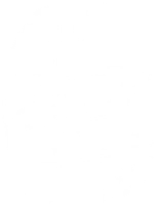 Dòng chữ trắng 'Time spent with cats is never wasted' trên nền xám, phong cách typography vintage.
